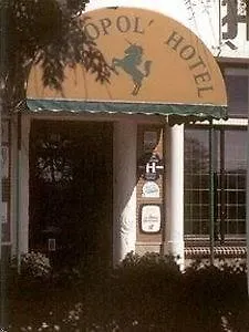 Hotel Metropol
